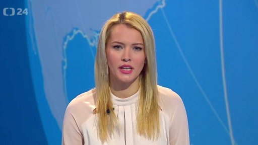 Zpravodajský servis