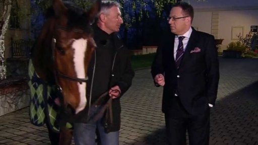 Koňská síla: rozhovor s hipologem Cyrilem Neumannem