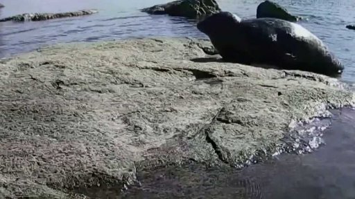 Dopad klimatických změn ve Finsku