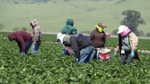 Trumpova vize imigrační politiky