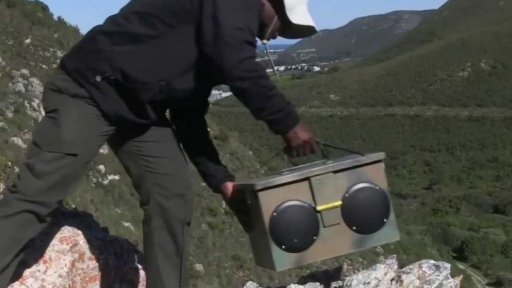 Zvukem proti paviánům