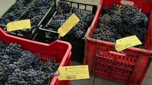 Evropa: překážka pro podvody s vínem + rozhovor s T. Nyitrayem