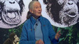 Zásadní objevy: Jane Goodall