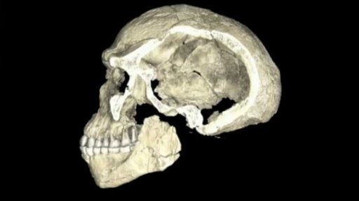 Zlomové objevy původu homo sapiens + rozhovor s J. Brůžkem