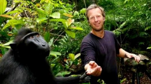 Soud rozhodoval o selfie opice