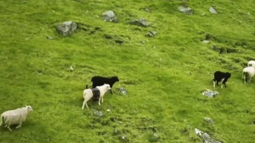 Faerské ostrovy na mapě díky ovcím