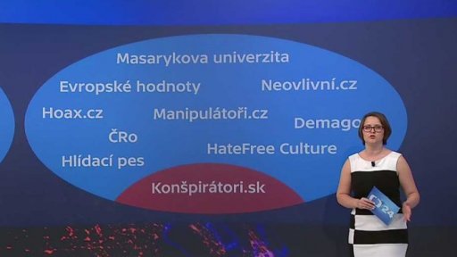 Jak Česko hlídá svou bezpečnost