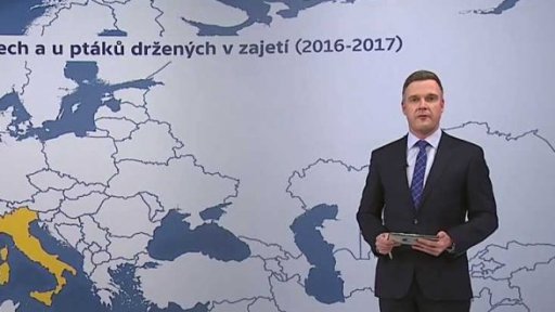 Ptačí chřipka v Evropě