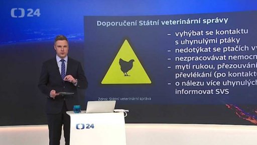 Rizika ptačí chřipky