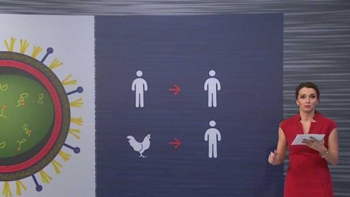 Ptačí chřipka v minulosti