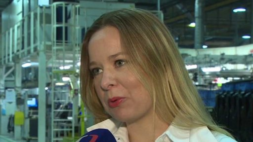 Cizinci v české republice