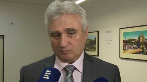 Kritika návrhu milosti pro Kajínka