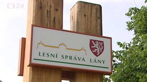Zprávy