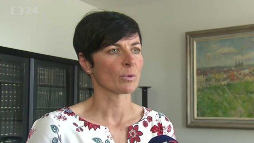 Kauza zakázek lánské lesní správy