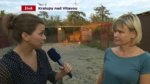 Čipování psů jako zbraň proti množírnám - rozhovor