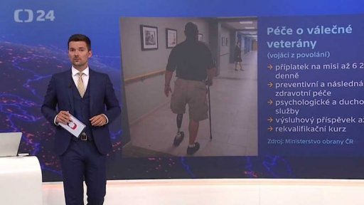 Novodobí váleční veteráni