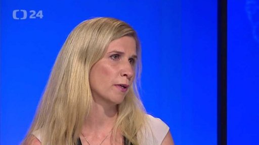 Protest učitelů proti nízkým platům - Hyde park