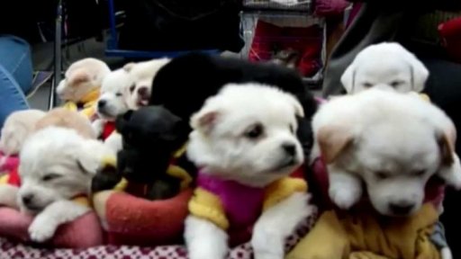 Nahrávka iReportéra z Číny