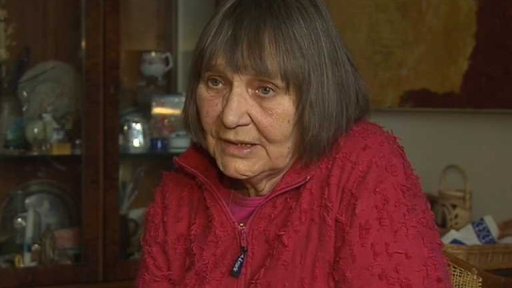 Vzpomínky Dany Němcové (2012)