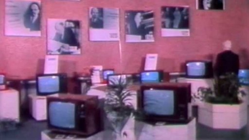 Výstava spotřební elektrotechniky (1980)