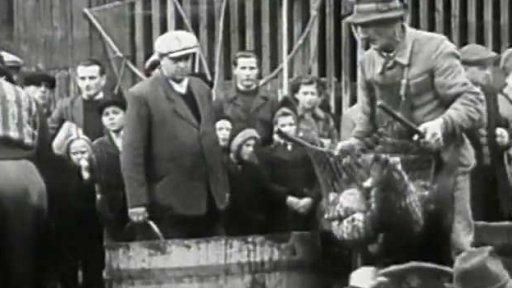 Rybník Mnich u České Lípy (1945)