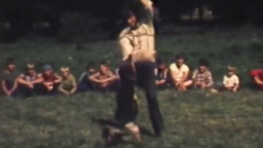 Týdenní táboření pro pionýry jako odměna od Českého rybářského svazu (1981)