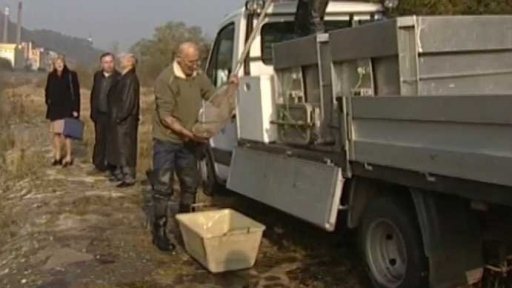 Záchrana úhořů (2005)