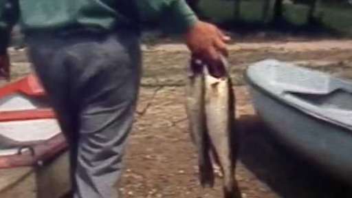 Rybáři na Lipně (1983)