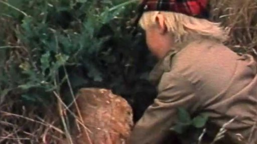 Malý Olda našel velký hřib (1981)