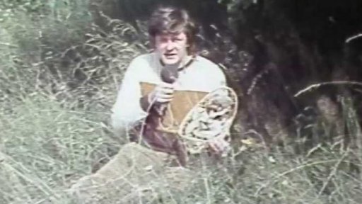 Rostou, rostou... Ale jedí se? (1984)