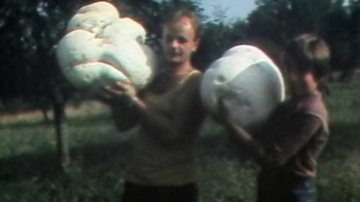 Obří pýchavky (1985)