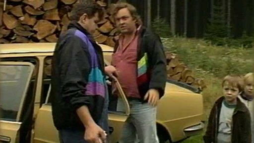 Lesy plné aut (1994)