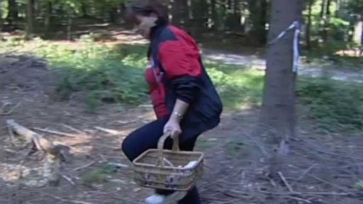 Houbaři v armádním výcvikovém prostoru (2006)