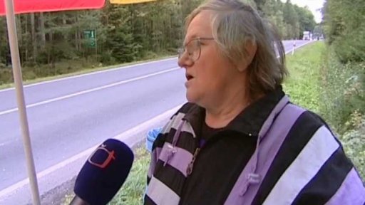 Houbaři v pohraničí (2008)