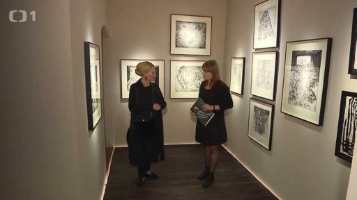 Výstava Ludmily Jandové