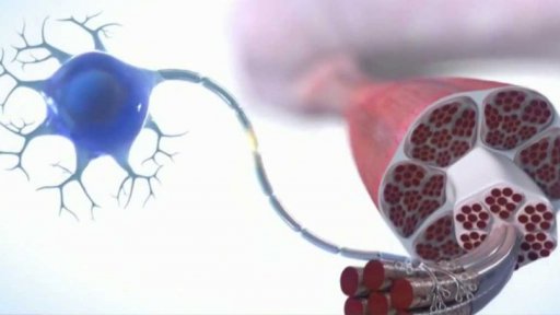 USA: nový lék na spinální svalovou atrofii