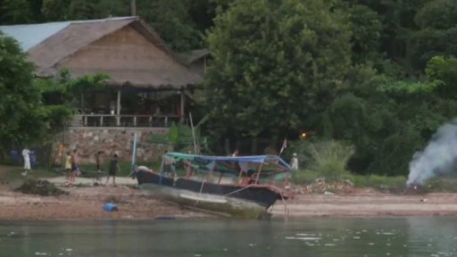 Nelegální lov mořských koníků