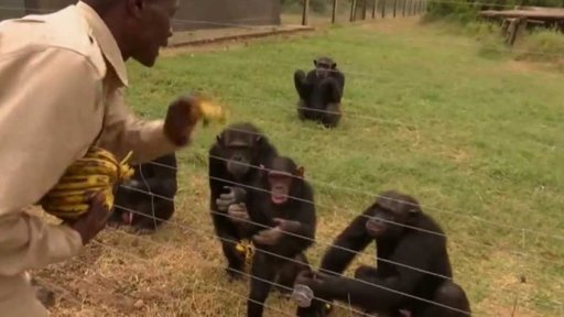 Věda ve světě stručně