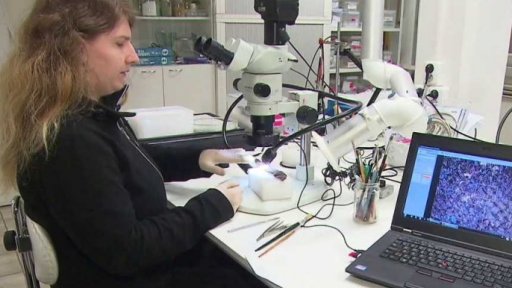 Archeologové Akademie věd mají nový rentgen