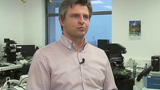 Měli bychom měnit lidskou DNA?