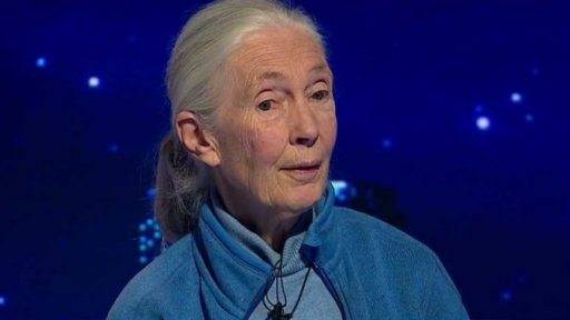 Hyde Park Civilizace: Jane Goodall