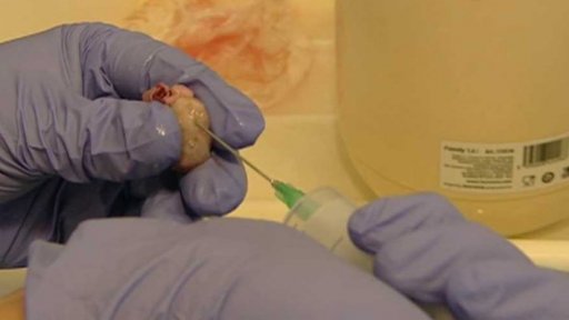 Česká věda stručně