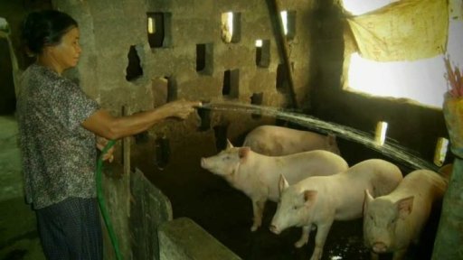 Jak efektivně se hospodaří s bioodpadem ve Vietnamu?