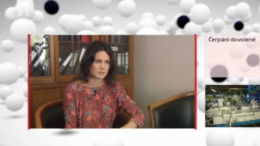 Čerpání dovolené