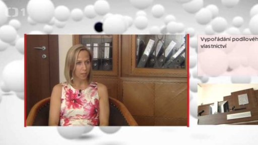 Vypořádání podílového vlastnictví