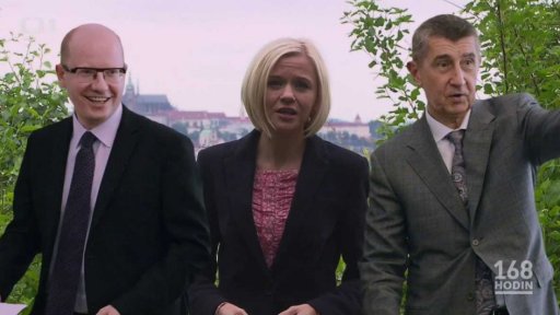 Hříbátka a koťátka