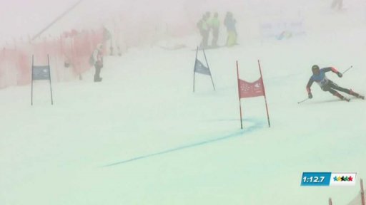 Sjezdové lyžování: obří slalom muži