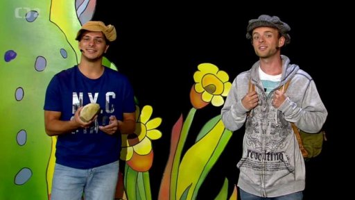 Mufikanti seženou Mufovi prazvláštní svatební dar.