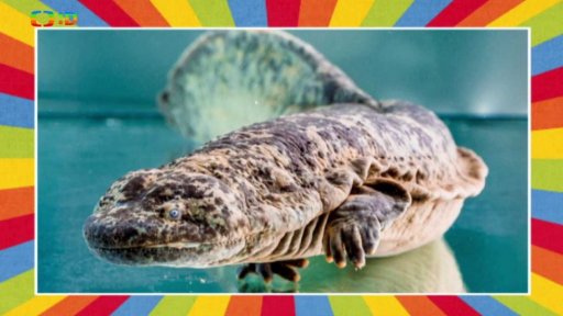 Zimní komentovaná krmení v Zoo Praha