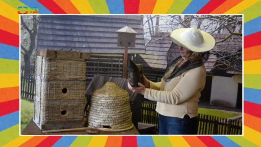 Zábavné odpoledne "Život hmyzí nám není cizí"